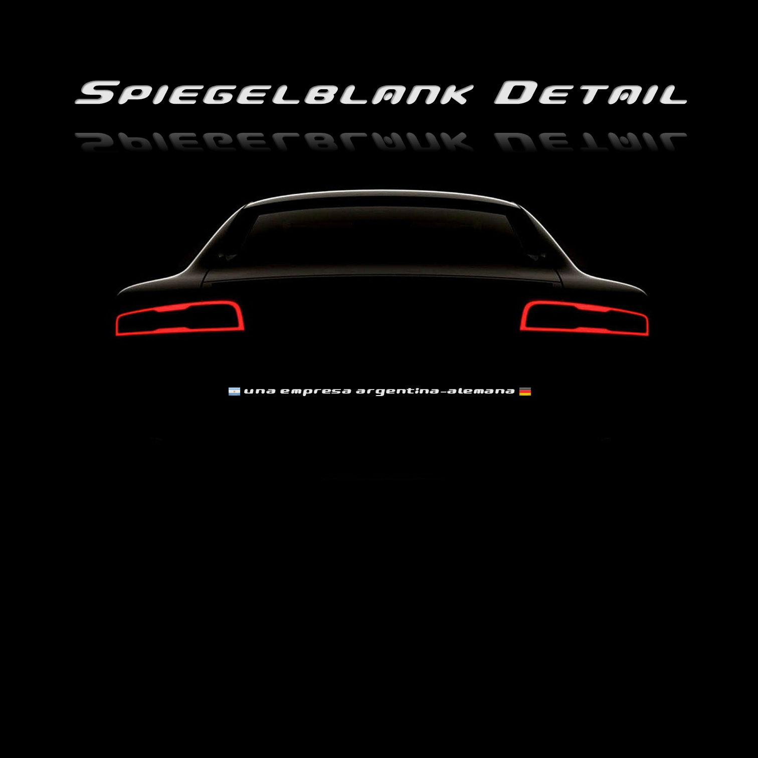 Spiegelblank Detail car detailing Buenos Aires limpieza profesional de tu vehículo Box
